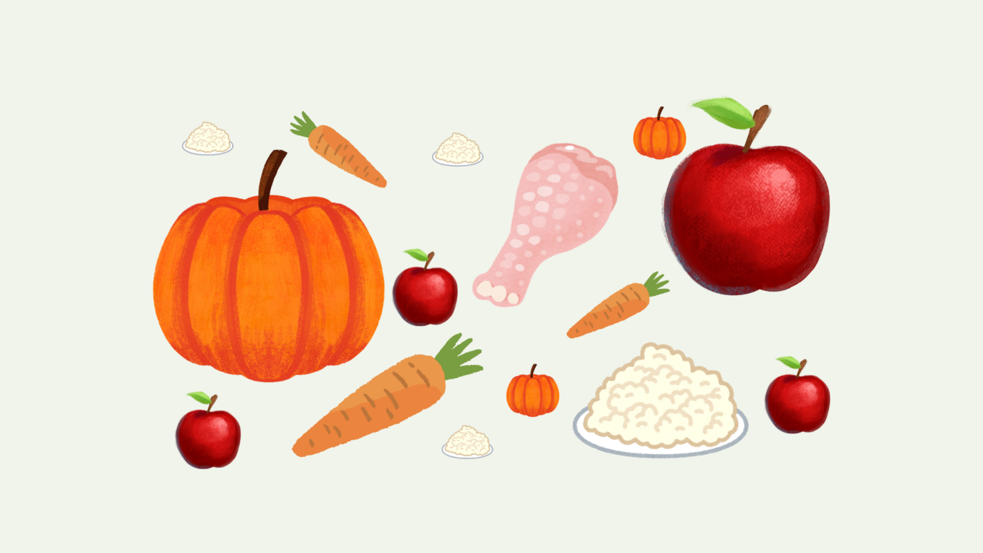 Diseno sin titulo 69 Cómo mejorar la digestión de tu perro con productos naturales de tu nevera 🥕