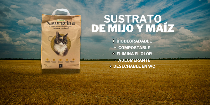 halloween popet mascotas 6 Inicio