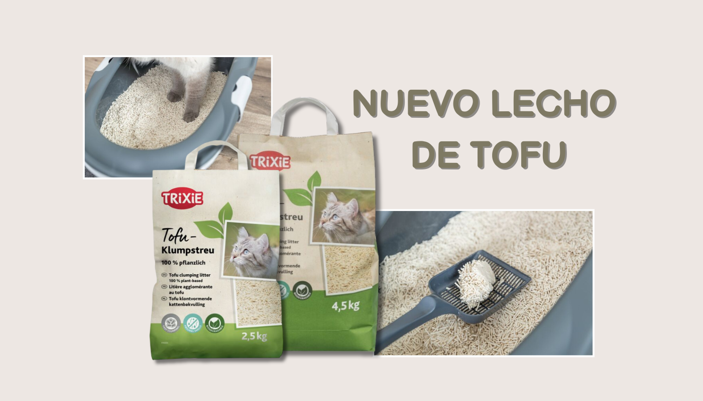 Lecho de tofu